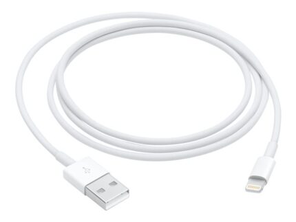 Apple - Cable Lightning - Lightning macho a USB macho - 1 m - para iPad/iPhone/iPod (Lightning)